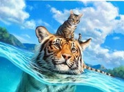 Haft diamentowy 40x50  kot i tygrys obraz na ramie