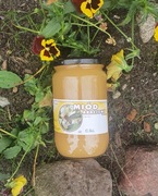 Miód rzepakowy w słoikach 0,815l 1kg 2 szt 50zł