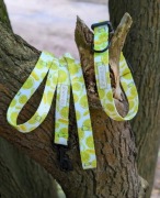 Obroża Sorrento taśma 2 cm S (34-40cm)