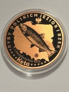 Ryba keta. Miedź fi 32 mm. 2013 Gyges