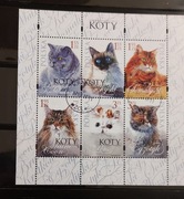 !!! POLSKA 2010 KOTY DOMOWE... PEŁNA_SERIA...KASOWANE*!!!