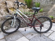 Rower Unibike Emotion