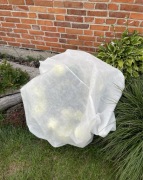 Worek Rękaw Kaptur ochronny na rośliny 1,6x1m Zimowy Biała Agrowłókniny 