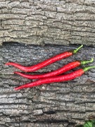 Cobraci Papryka Słodka 