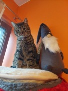 Skrzat Krasnal Rękodzieło Zabawka Ozdoba 