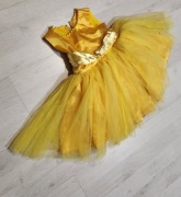 strój pszczoły osa pszczoła królewna 1370