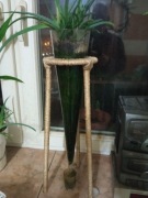 Aloesy w ciekawej doniczce na oryginalnym stojaku