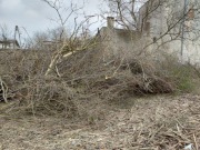 Drzewo - gałęzie na opał 