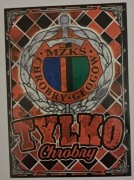 Vlepki CHROBRY Głogów, RESOVIA, WISŁA Kr.,CRACOVIA, Arka, Lech  # 07
