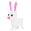 Bunny Adopt Me AM