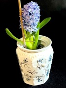 100letni pojemnik perełkowany w aranżacji `z hiacyntem.OKAZJA !!!