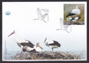 ESTONIA. 2004/Tallin-Bociany.. fdc.