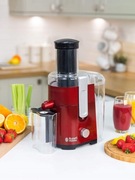 Sokowirówka Russell Hobbs Desire 