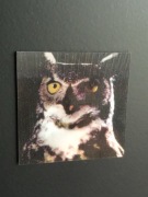 Magnesy 3D twin peaks laura palmer/sowa