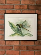 Akwarela 30 x 40 cm ważka obraz papier 300 g/m²