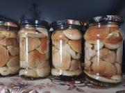 Prawdziwki Marynowane Borowiki sod Jaworzyny 