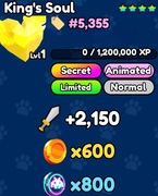 King's Soul | Pet Catchers