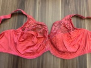 M&S Wild Blooms 85J