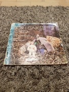 Bór i gaik w wiosennym lesie