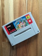 Super Adventure Island - Super Nintendo - SNES
