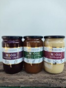 Miód 3KG wielokwiatowy nektarowo spadziowy z jagodą liofilizowaną  
