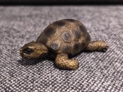 Schleich żółw 14404