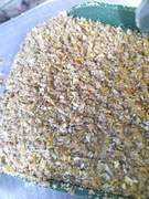 Pasza, karma, ziarno