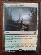 Overgrown Farmland 