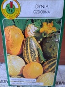 Dynia ozdobna mix