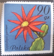 Polska 2636 kaktus 1981