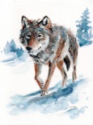 Obraz ręcznie malowany "Wilk" +rama