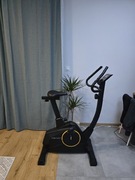 Rower treningowy magnetyczny pionowy Eliton Force