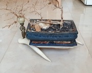 Doniczka +stojak bonsai 