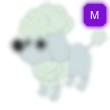 Poodle Adopt Me AM