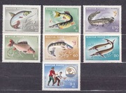 !!! WĘGRY RYBY WĘDKARSTWO - SERIA CZYSTE**!!! 