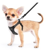 Szelki Uprząż Że Smyczą Dla Mniejszych Psów Rozmiar M