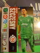 Karta panini top class