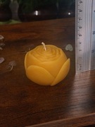 Róża świeca z wosku pszczelego