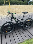 Rower Ardis Buggy 26