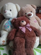 Pluszowe misie trzy rodzaje rozmiar XL