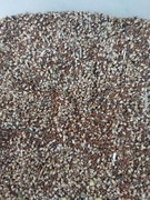 Nasiona babki lancetowatej karma króli