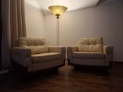 fotele skorzane, l. 50-te, skora, palisander, jedwab, retro, vintage