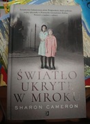 Światło ukryte w mroku