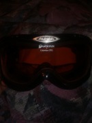 Gogle narciarskie Alpina Quattroflex 