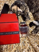 Lalique eau de parfum 100 ml