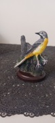 Figurka ptak BIRD Collection 