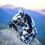 Hobby Horse Konik na kijku zestaw - BOOMERANG + METRYCZKA i MARCHEWKA 