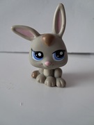 Littlest Pet Shop LPS królik