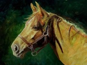 dalldalton dall dalton obraz olejny koń konie zapraszam