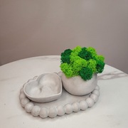 Zestaw dekoracyjny z stabilizowanym mchem 